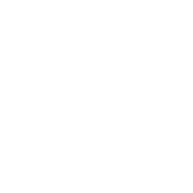 Boost Accessories