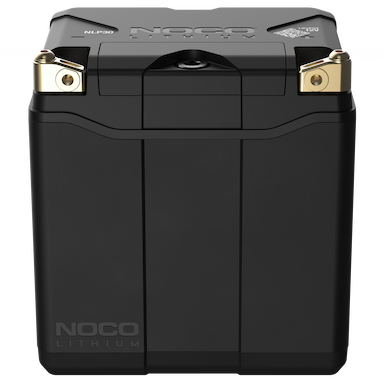 NLP30