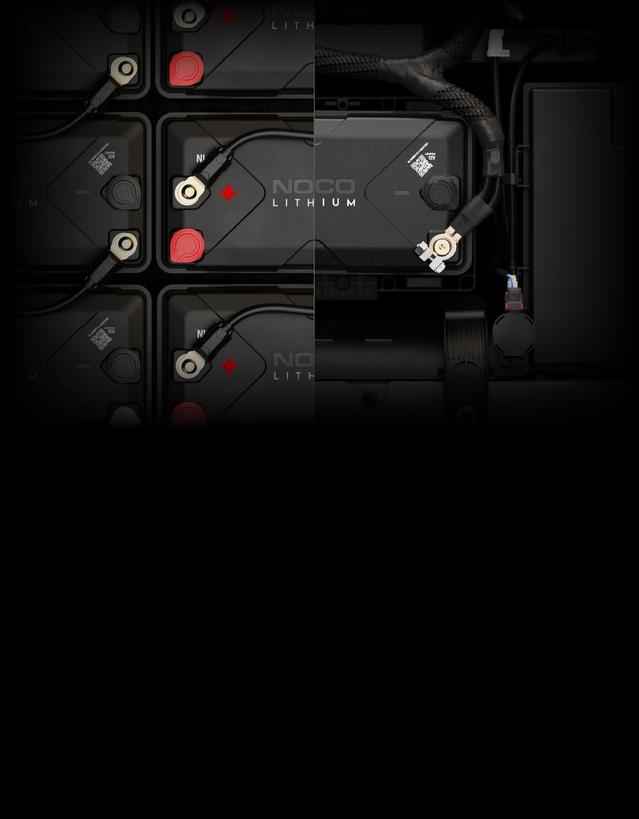 _ nlx31 deep cycle vs starter battery dual purpose_F9B_XS_2x 100